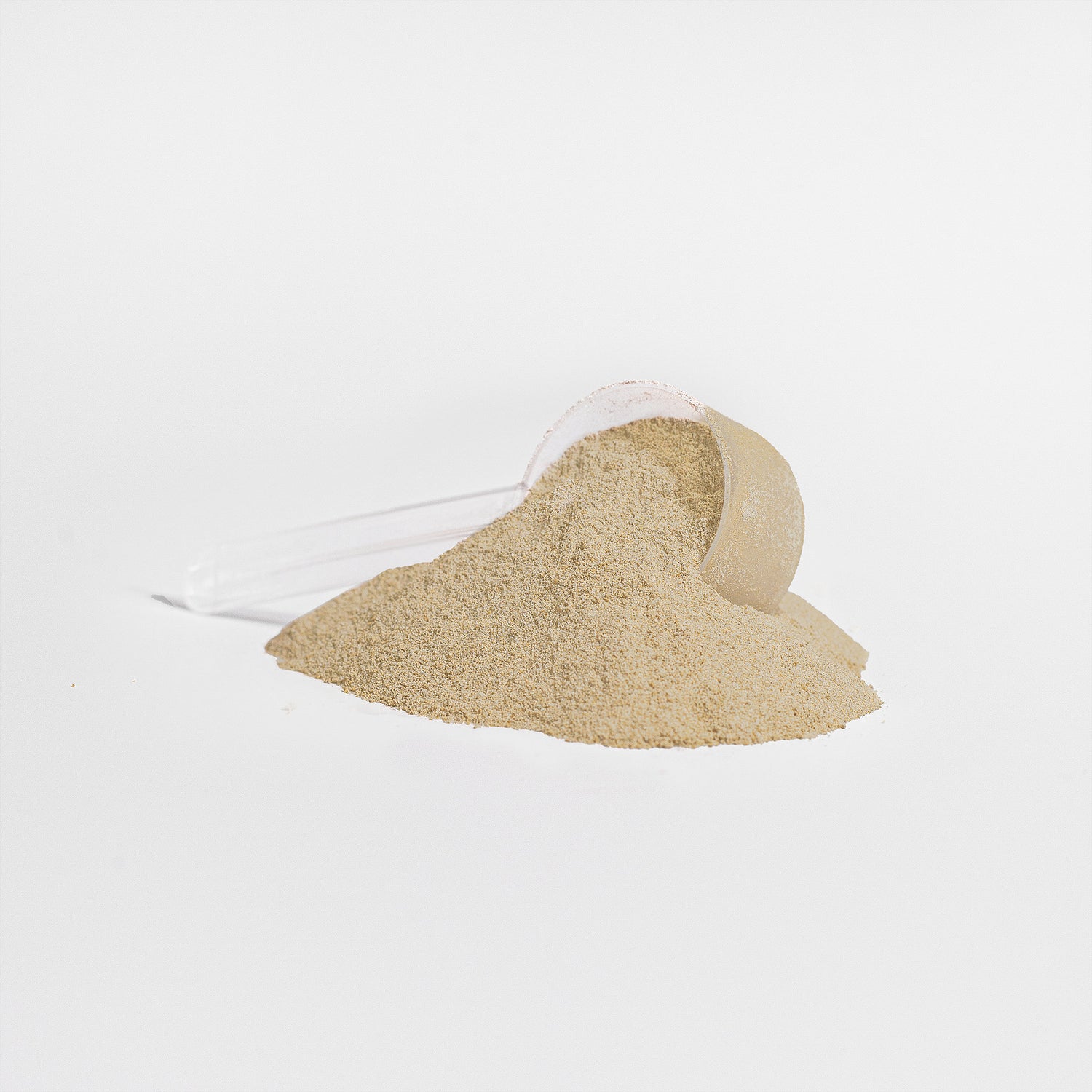 Zivra_Protein_Render_2
